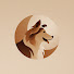 24rNed-w9Pk-channel-avatar-World of Dogs - A to Z