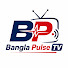 _kkO-n76OII-channel-avatar-BANGLA PULSE TV