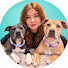 LG-CCcNps4I-channel-avatar-Sky_Staffy_Lurcher