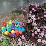 MARBLE RUN PLANTS