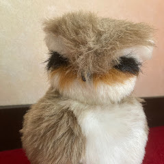 みっちゃん げーむすアイコン画像
