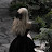 @SosoSoso-r9o