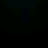 @GAVACHO5150 Avatar