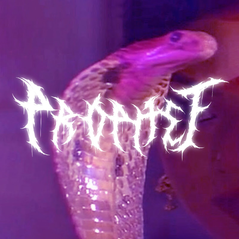 PROPHET