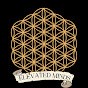 ElevatedMinds logo