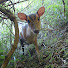 GtnOpoRn0UM-channel-avatar-Abiding By Nature