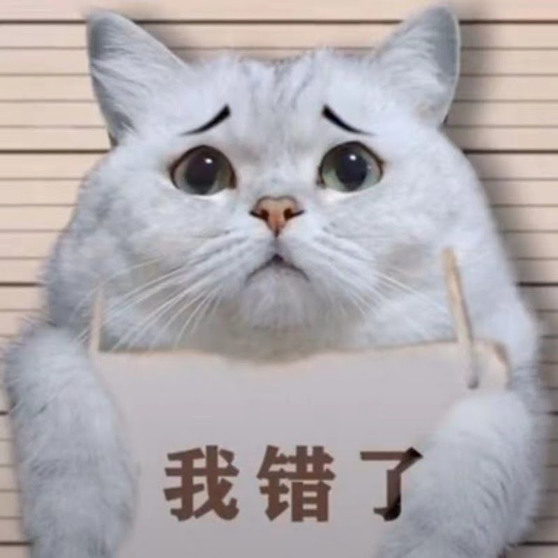 乔巴日记 Chopper's Diary