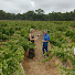 4Yh--kPEUO0-channel-avatar-The Cellar Door Australia