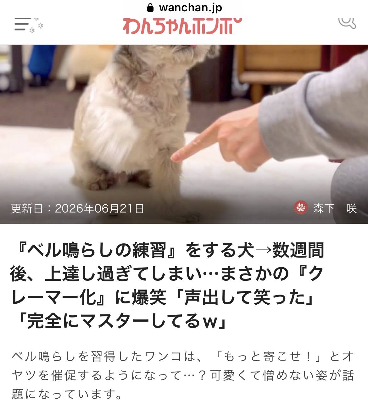 確認用　春る　愛犬　玉玉　トラ YouTube