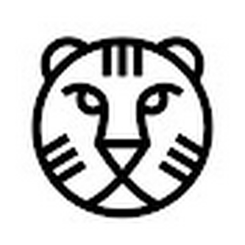 International Film Festival Rotterdam – IFFR