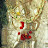 @lovetirupati.official7415