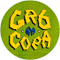 Channel Image
