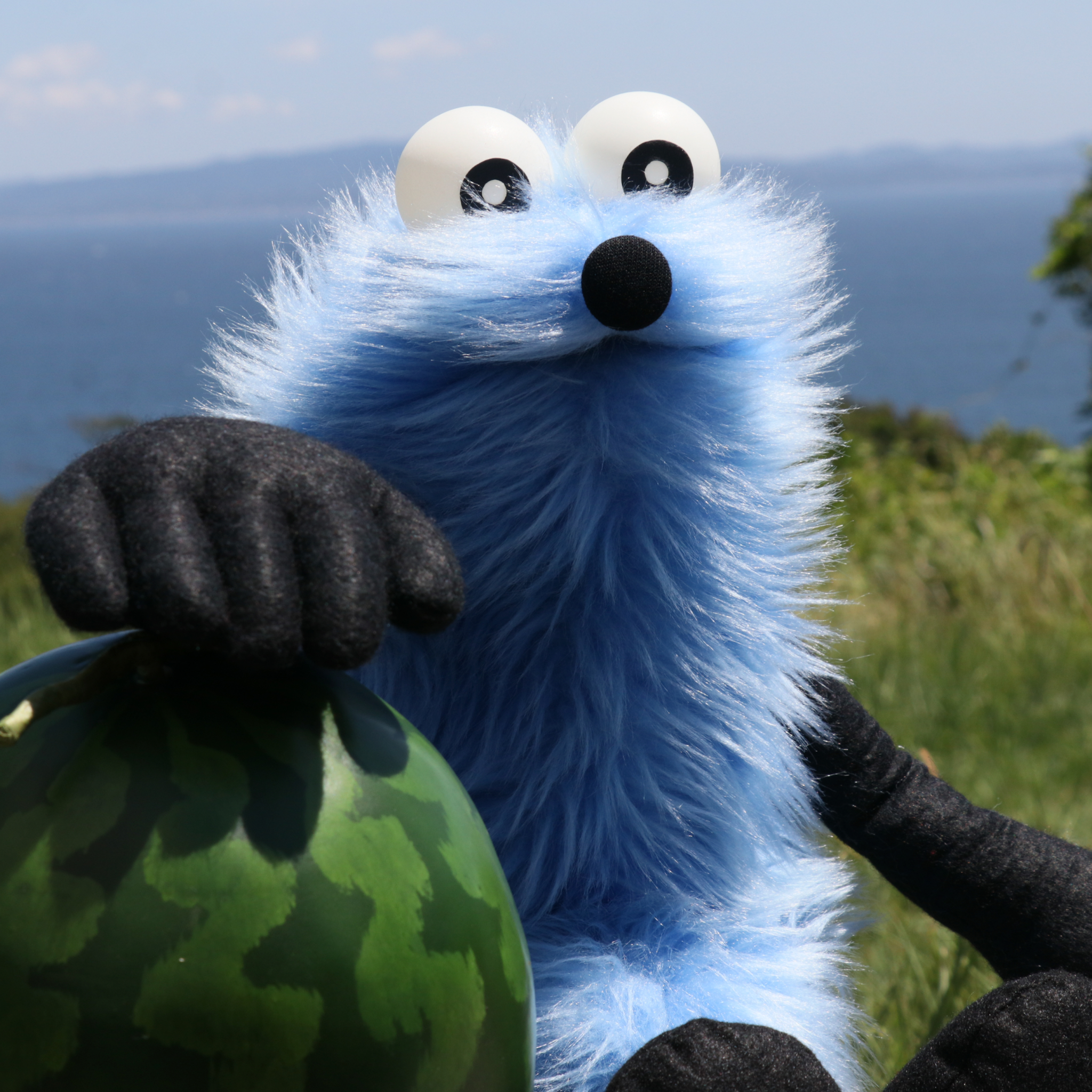 Post from PUPPET SUNSUN / パペットスンスン - YouTube