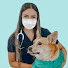 sGp5nLAqgOk-channel-avatar-White Coats and Corgis