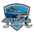 KD1owztzSfs-channel-avatar-aotoramotors整備ch