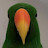 @YaBoiKnox's avatar