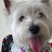 @jodiac's avatar