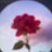 @EmyEltorky-jt5wv