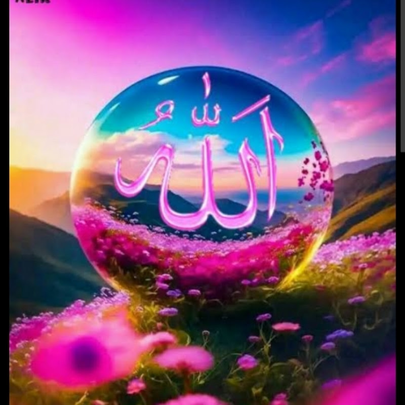 Hire SHABANA KHATOON  — Cultural Experiences & Expat Life YouTube creator for sponsorships