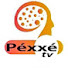 Jd8sioYkPO4-channel-avatar-PEXXE PANORAMA TV