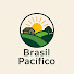i_xP5fIe2_o-channel-avatar-brasil pacífico