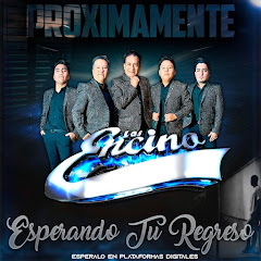 Grupo Los Encino