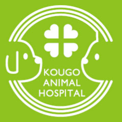 こうご動物病院アイコン画像