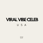 Viral Vibe Celeb - USA logo