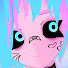 SurfRay Live