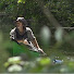 gx00HtIOiys-channel-avatar-Lazy River Adventures