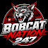 Boj9Z2hIAxQ-channel-avatar-BobcatNation247