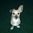 @lynnda-c2l