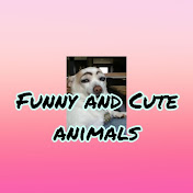 FUNNY AND CUTE ANIMALS 