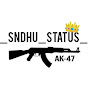 Sndhu status channel logo