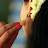 @lekshmil9088's avatar