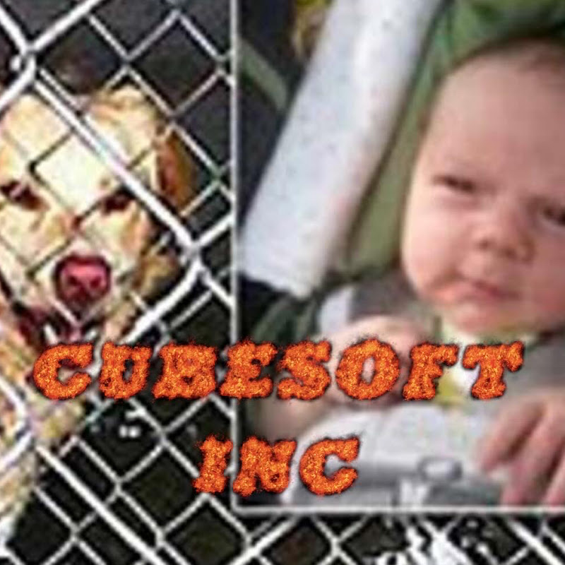 CUBESOFT INC.