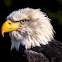 World Eagle