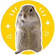 いきちゃんと仲間たち🐿️