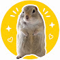 いきちゃんと仲間たち🐿️