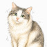 Channel Image