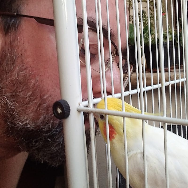 Bons filmes e vídeos 