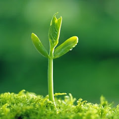 まよいのスカッと劇場