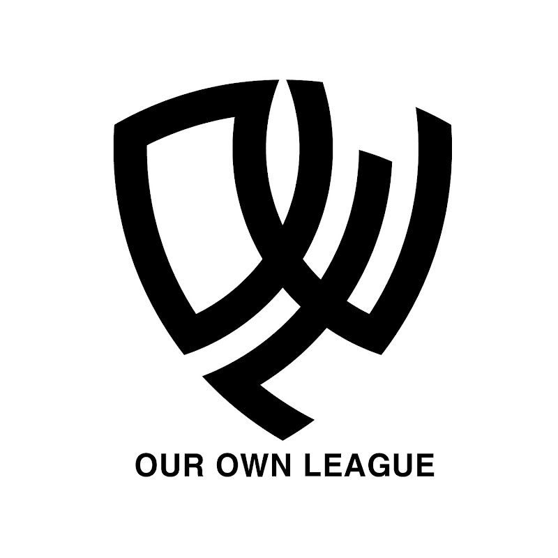 OWL - Our own league