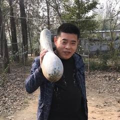 农民评论员老宋アイコン画像