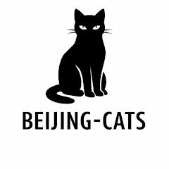 beijing-cats 🐾