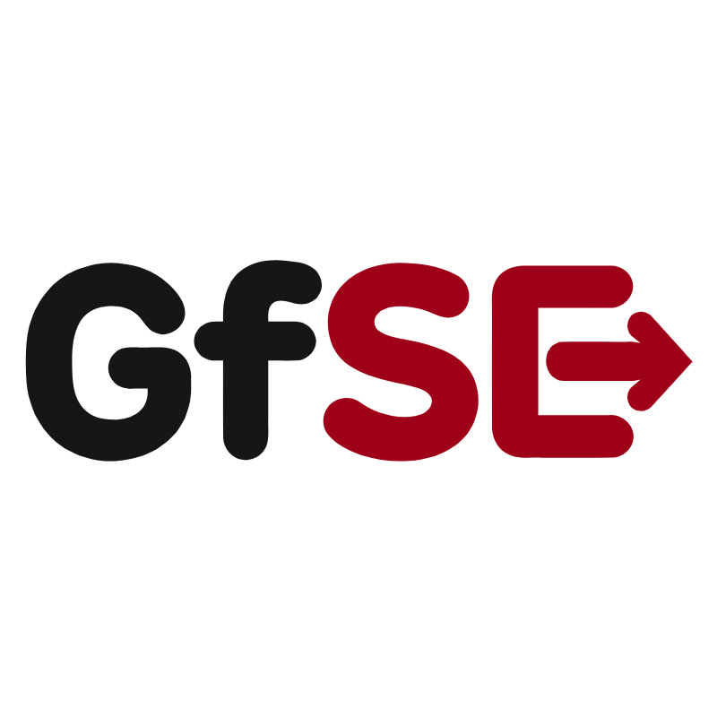 Gesellschaft für Systems Engineering e.V. icon