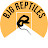 BJG Reptiles