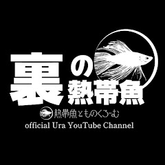 裏の熱帯魚アイコン画像