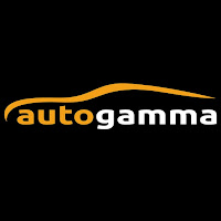 Auto Gamma profile image