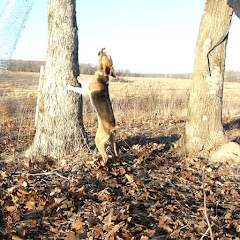 Inman Outdoors